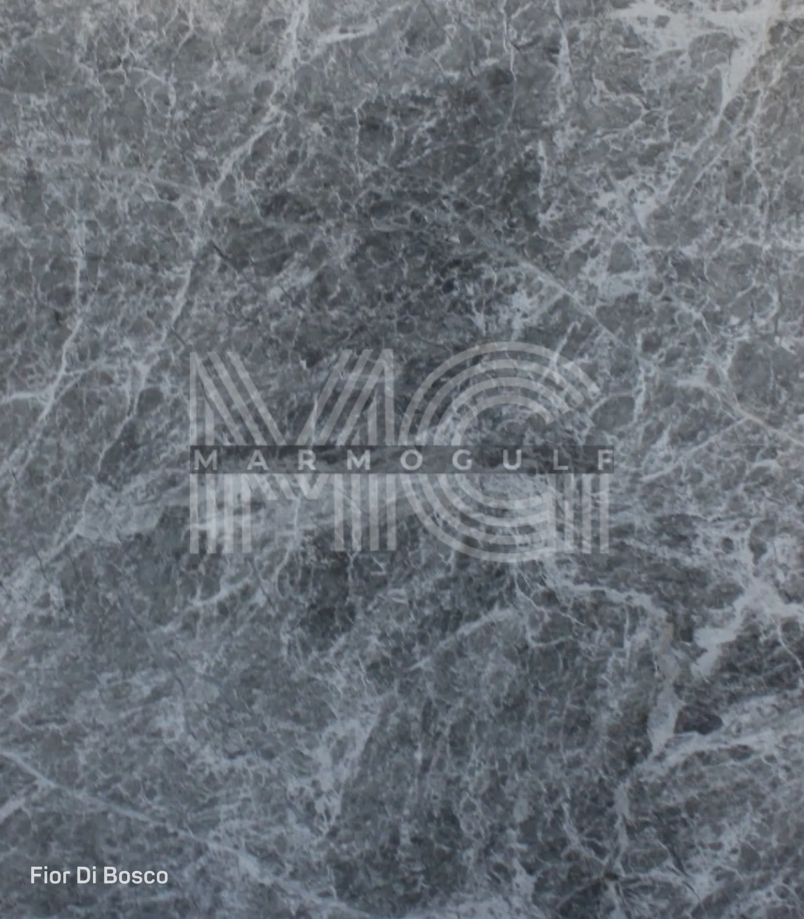 فيور دي بوسكو