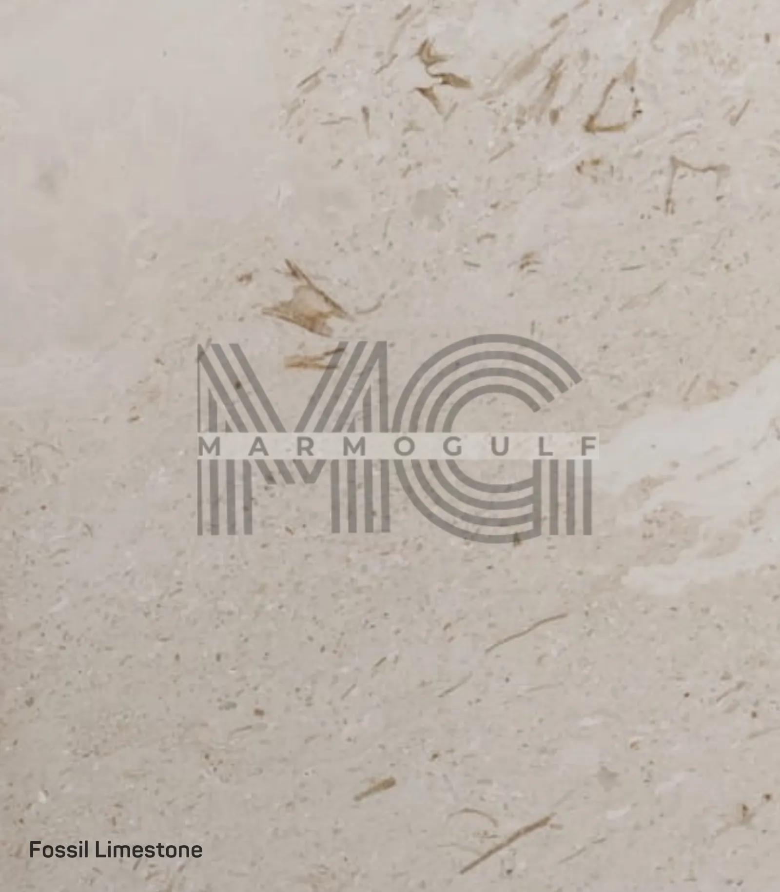 Fossil Limestone
