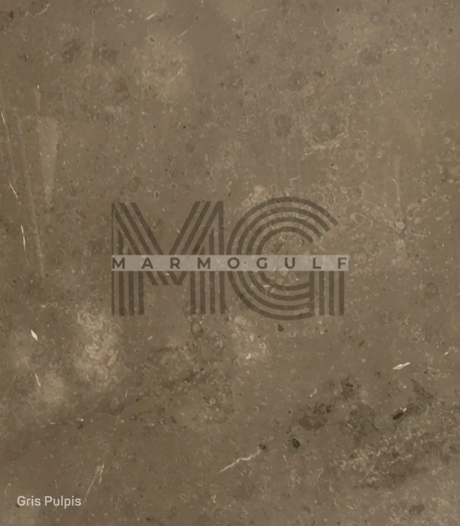 غريس بلبيس (براون ارماني)