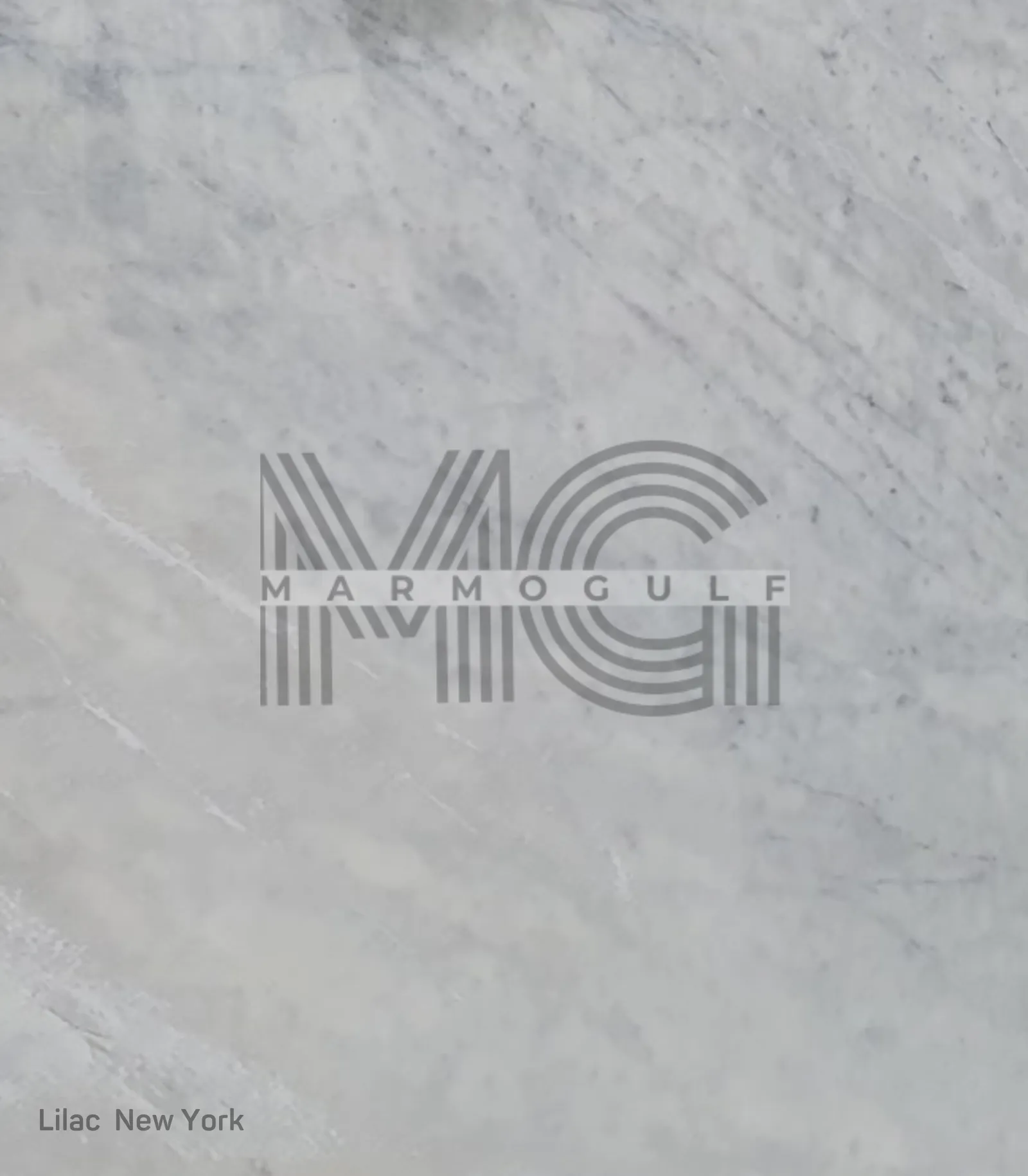 ليلك نيويورك