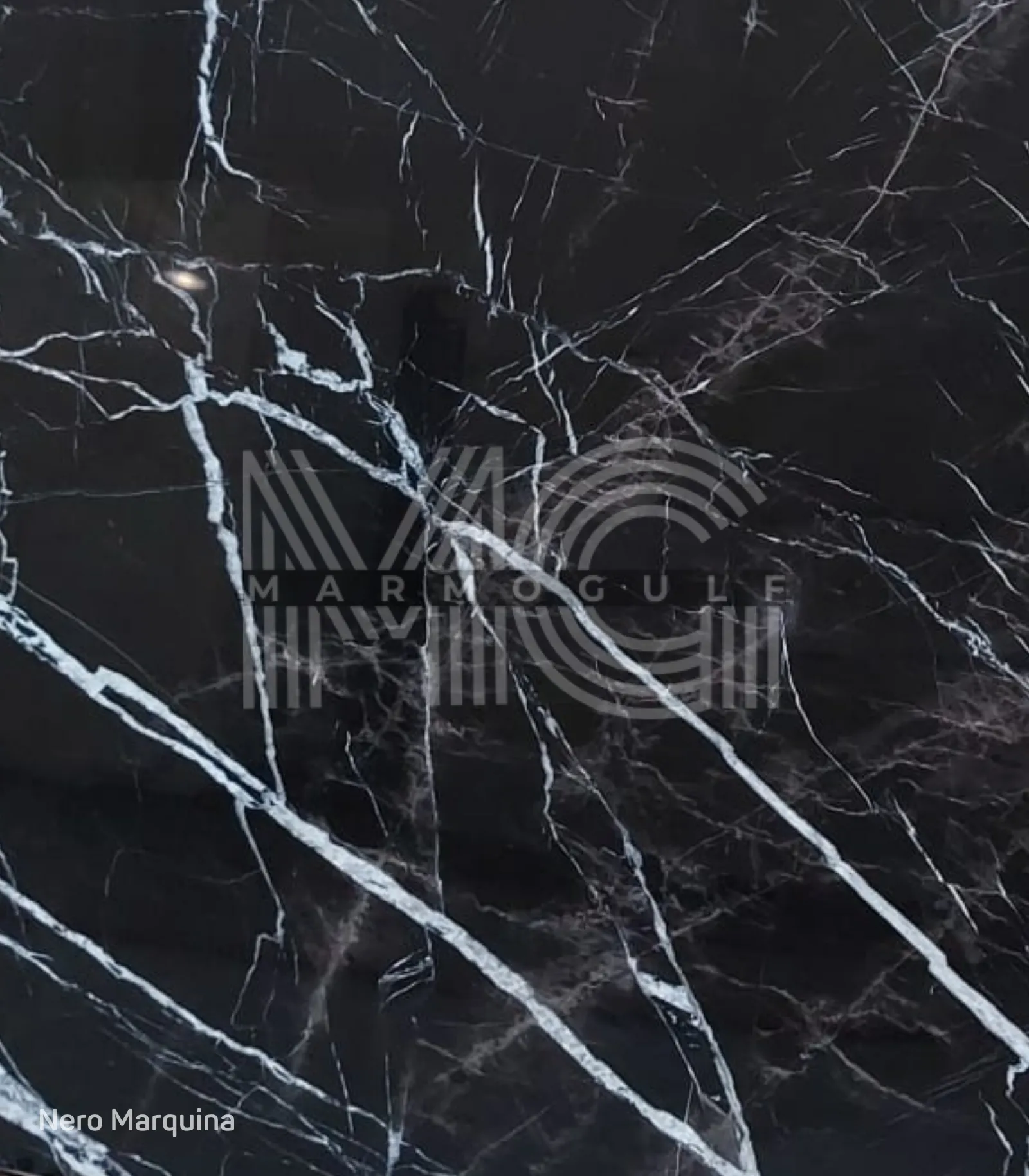 نيرو ماركينا