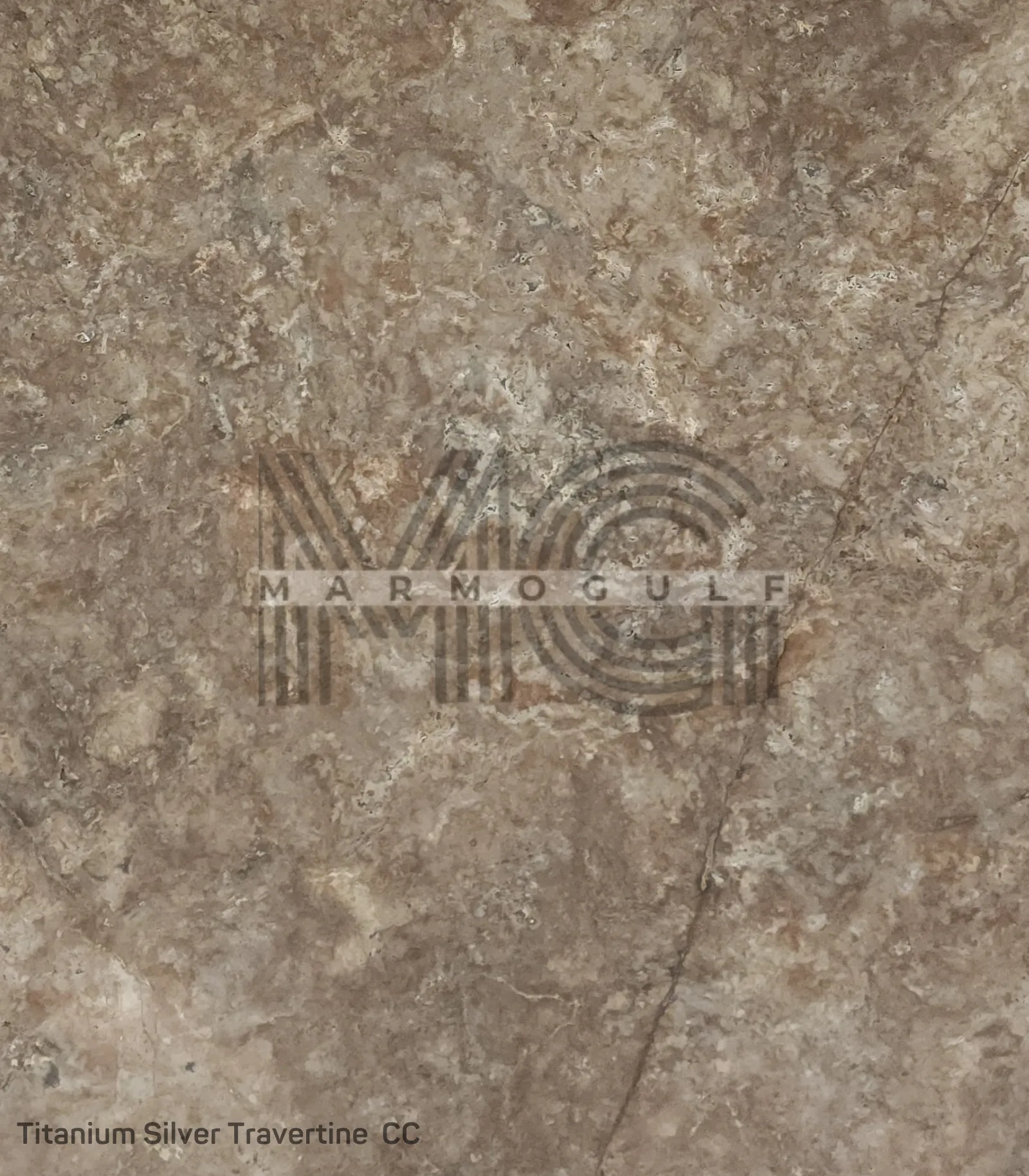 Titanium Silver Travertine CC